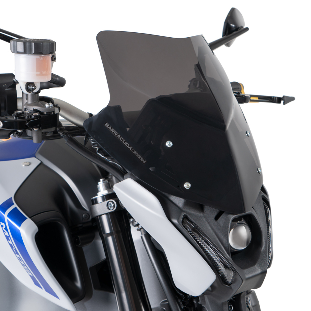 Windschild Yamaha MT09